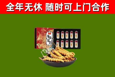 江门烟酒回收冬虫夏草礼盒.jpg